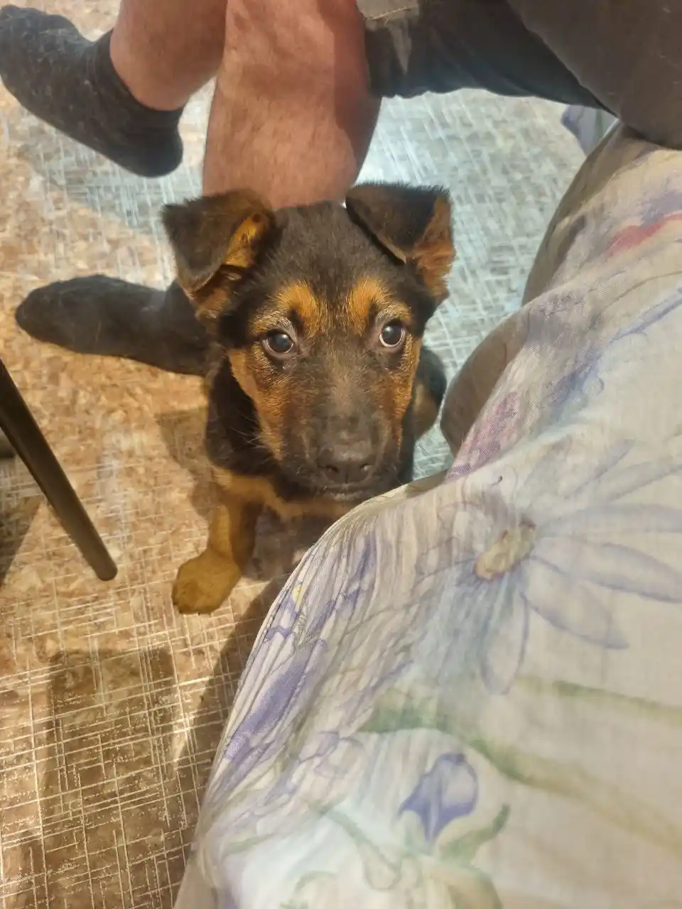 Ищет хорошие, добрые руки мальчик