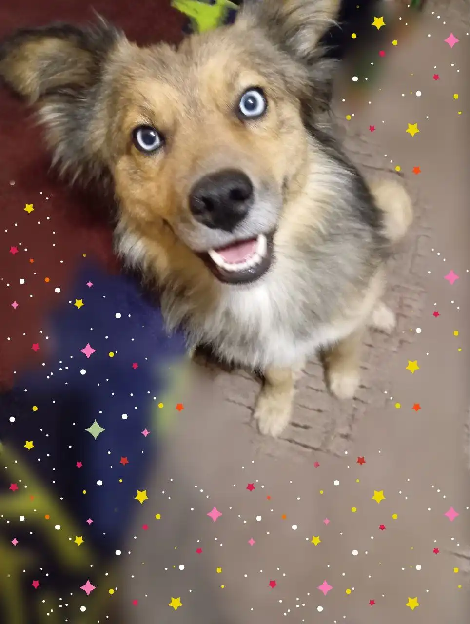 Девочка Ева ищет дом