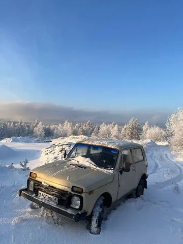Куплю Ниву/Уаз/Жигули на запчасти - Авто в Братск