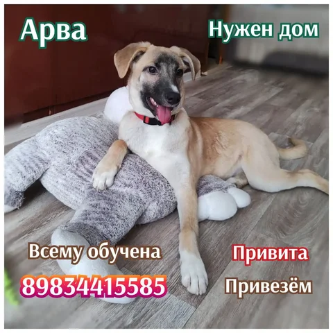 Объявление из города Братска - Сварочный аппарат в Братск