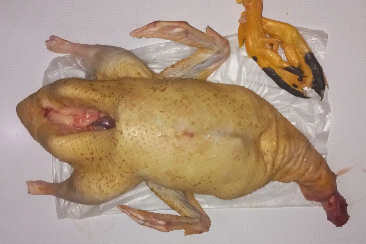 Тушки домашних уток на свободном выгуле - Продукты питания (Барахолка) в Братск