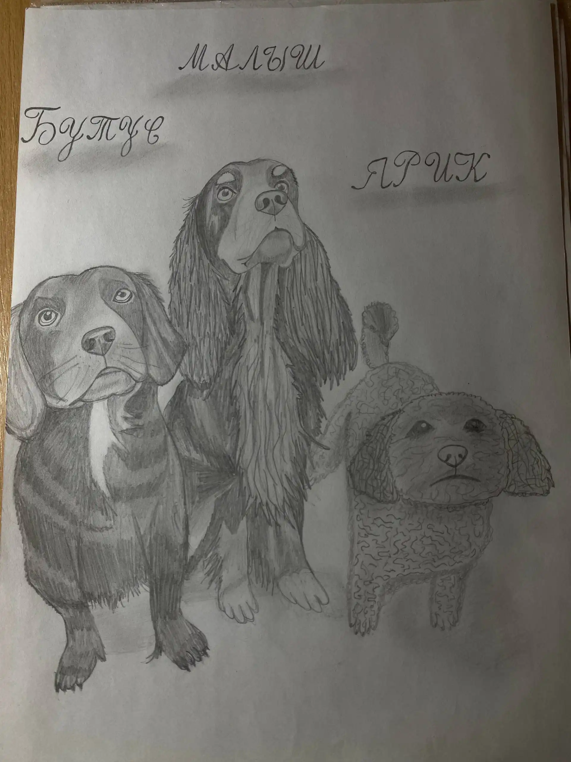 Услуги художника: портреты питомцев, плакаты для детей, трекеры привычек - Художественные услуги (Услуги) в Братск