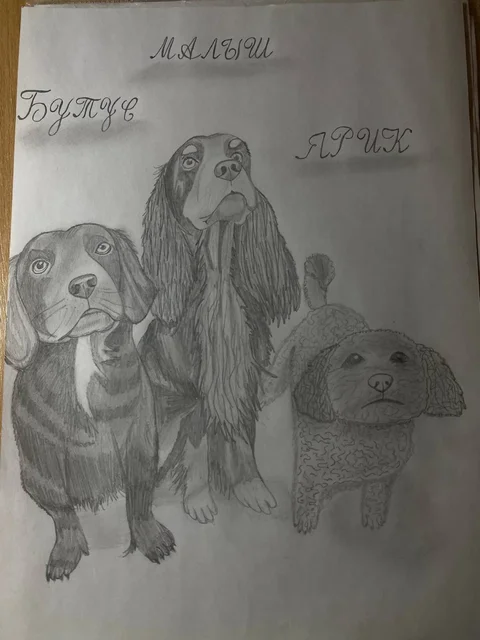 Услуги художника: портреты питомцев, плакаты для детей, трекеры привычек - Ремонт окон и дверей в Братск