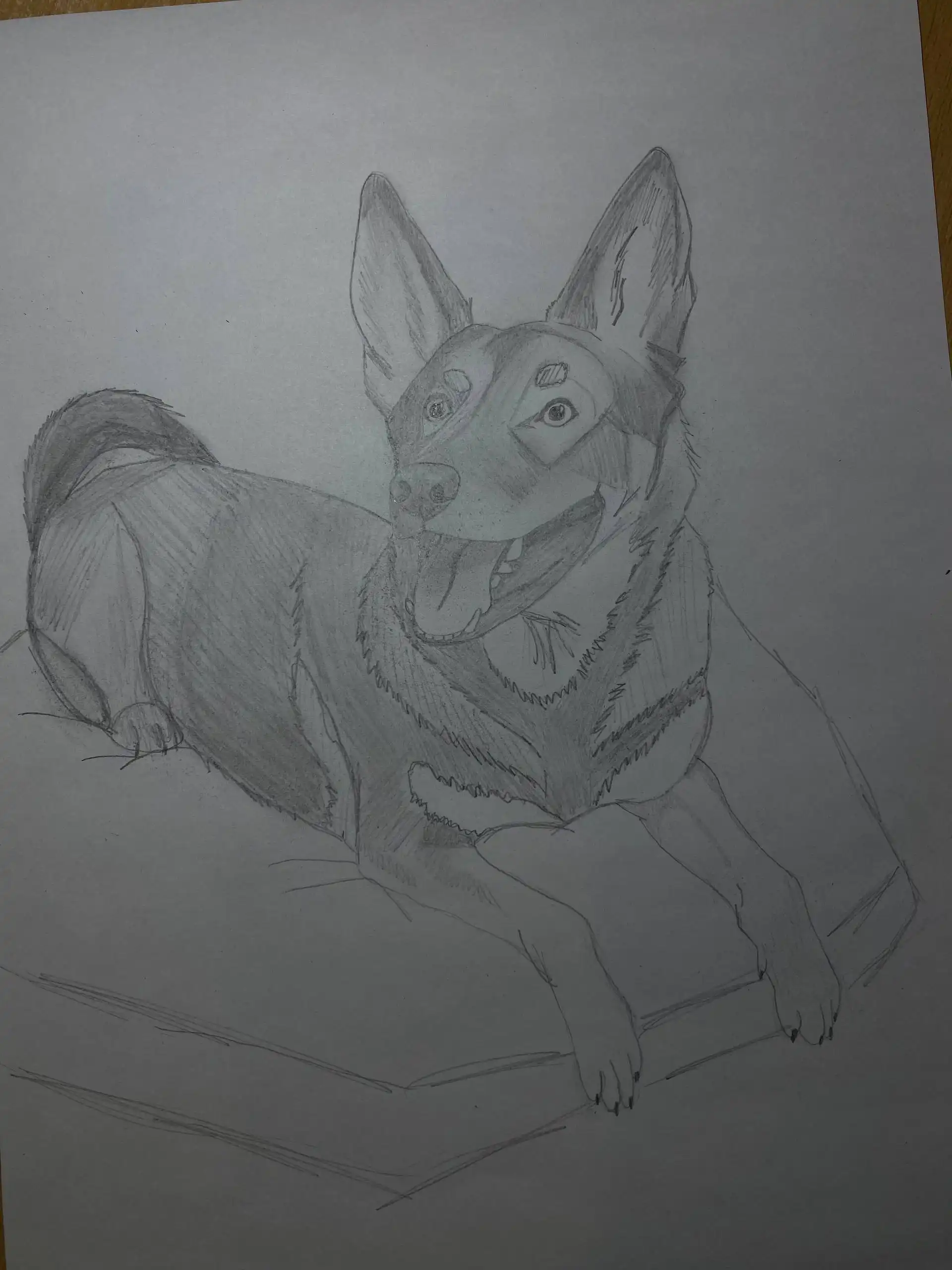 Услуги художника: портреты питомцев, плакаты для детей, трекеры привычек - Художественные услуги (Услуги) в Братск