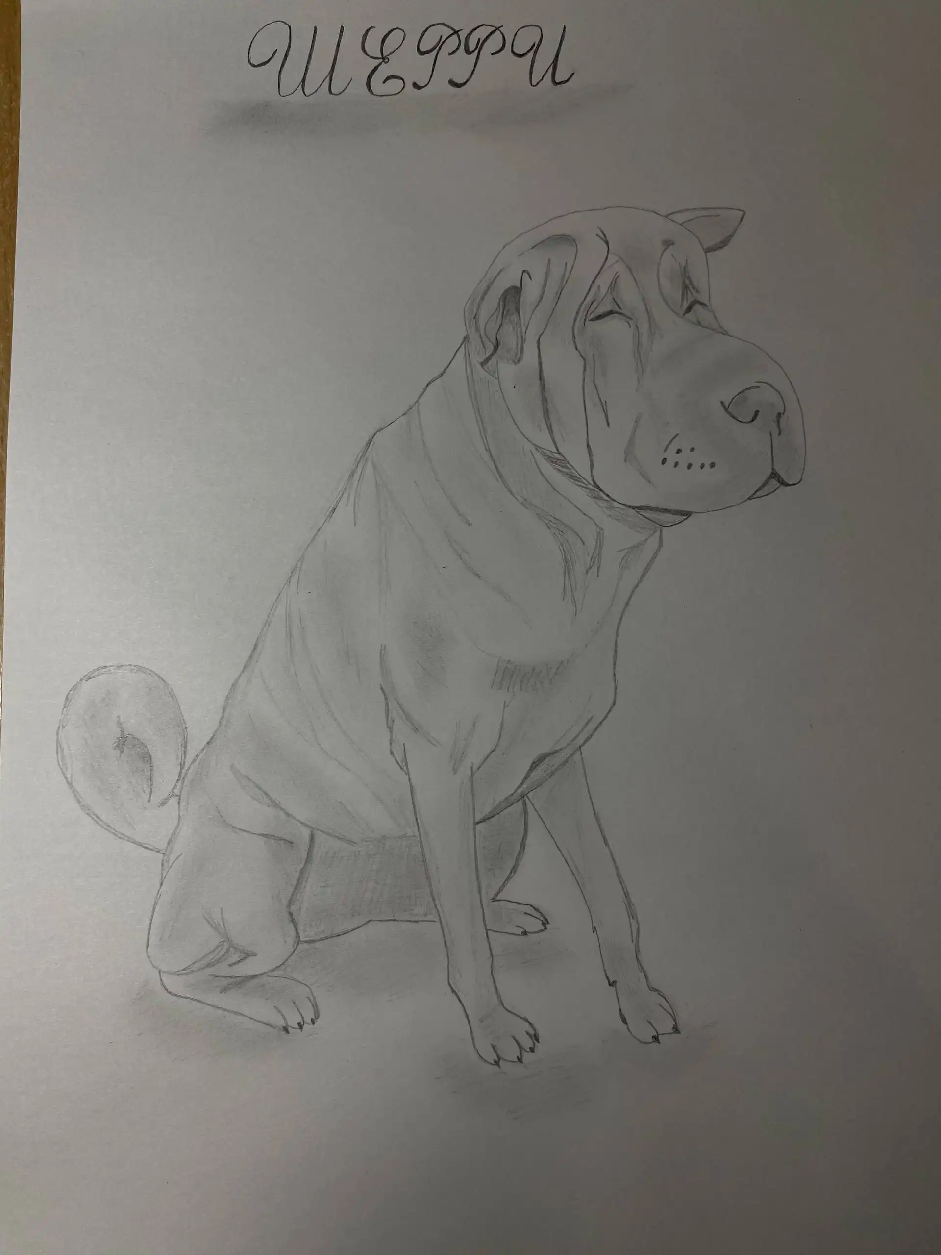 Услуги художника: портреты питомцев, плакаты для детей, трекеры привычек - Художественные услуги (Услуги) в Братск