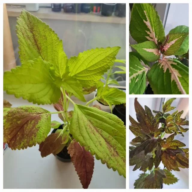 Объявление из Братска - Детские товары в Братск