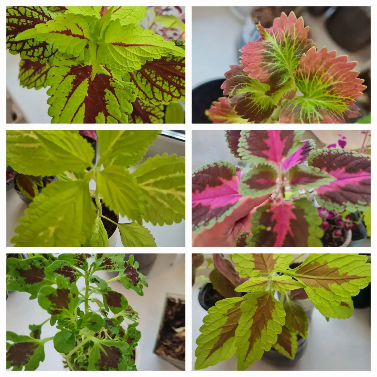 Объявление из Братска - Барахолка в Братск