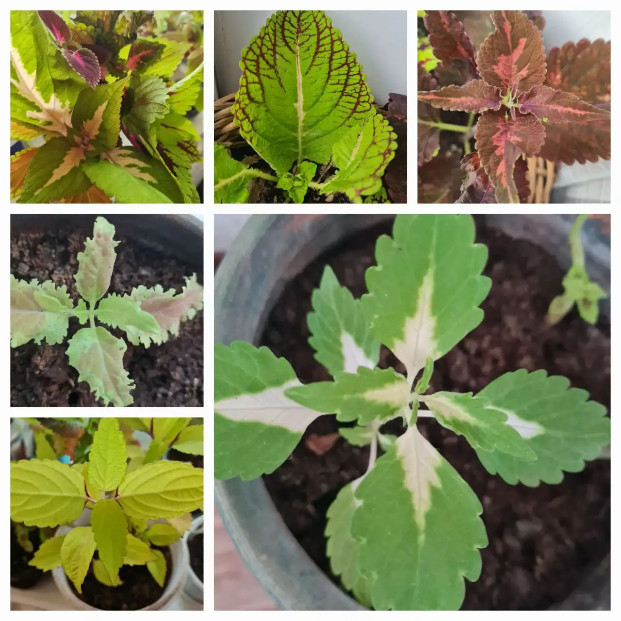 Объявление из Братска - Барахолка в Братск