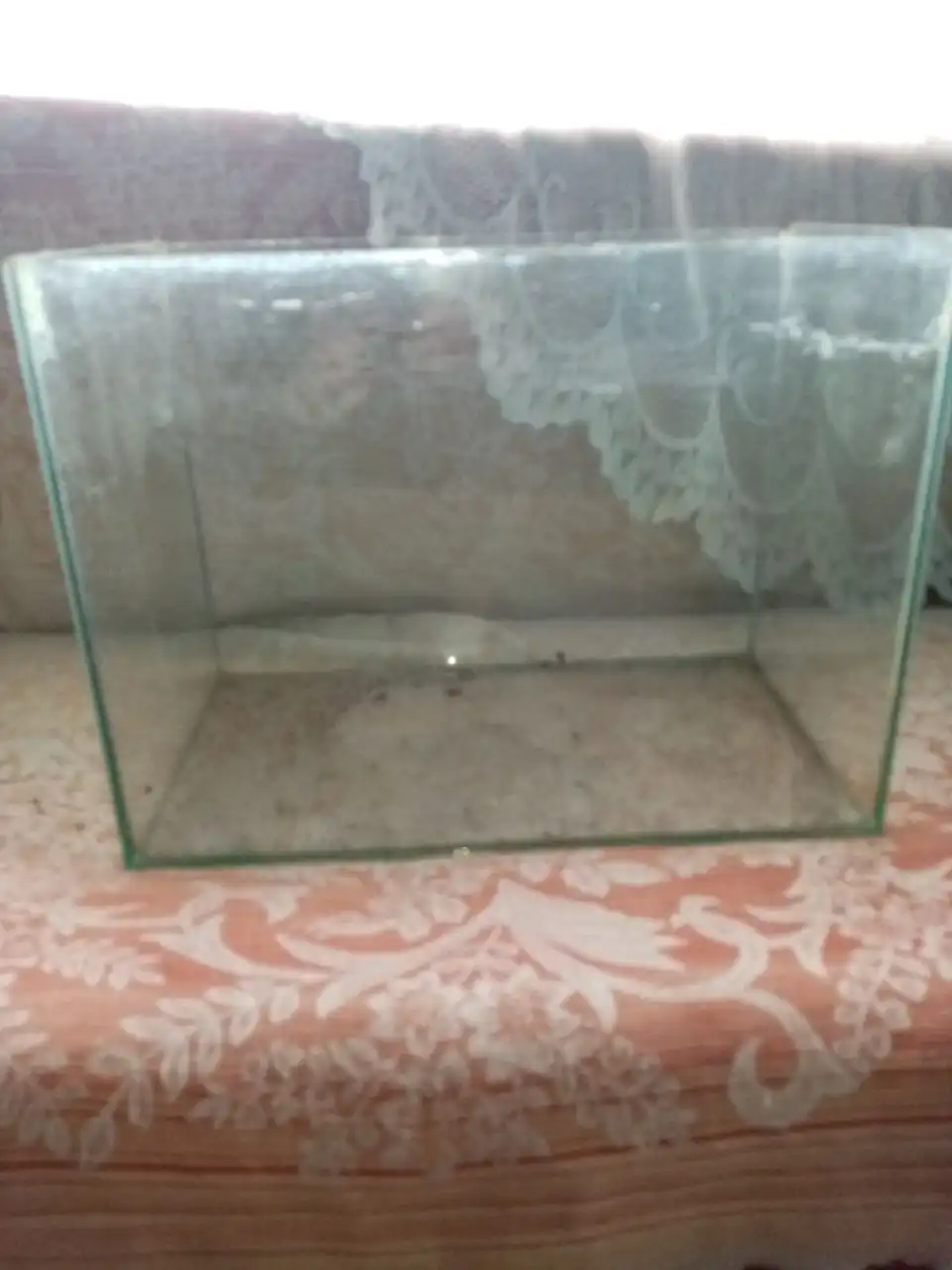 Продам аквариум на 20 литров - Аквариумистика (Хобби и отдых) в Братск