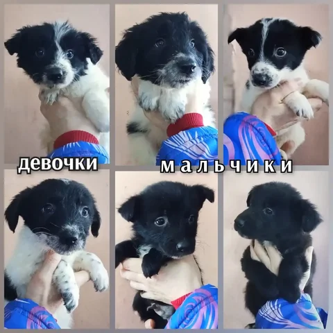 Детям из приюта нужны любящие семьи - Подарки ручной работы в Братск