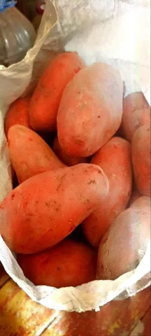 Продам картофель розовый деревенский - частное объявление в Братск