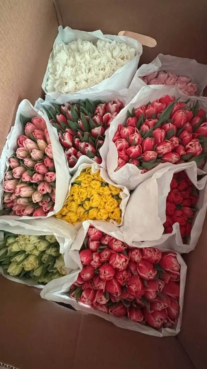 Продажа цветов в Братске - Цветы (Барахолка) в Братск