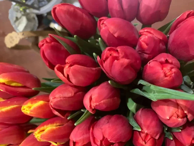 Красивые и крупные тюльпаны, мимоза на 6-8 марта - Ножи в Братск