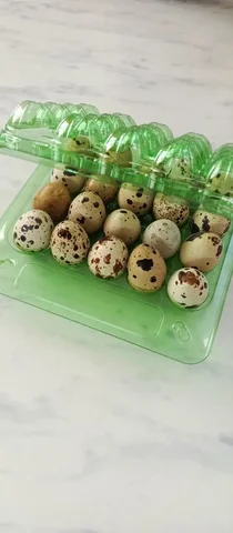 Продажа перепелиных яиц - Пиломатериалы в Братск