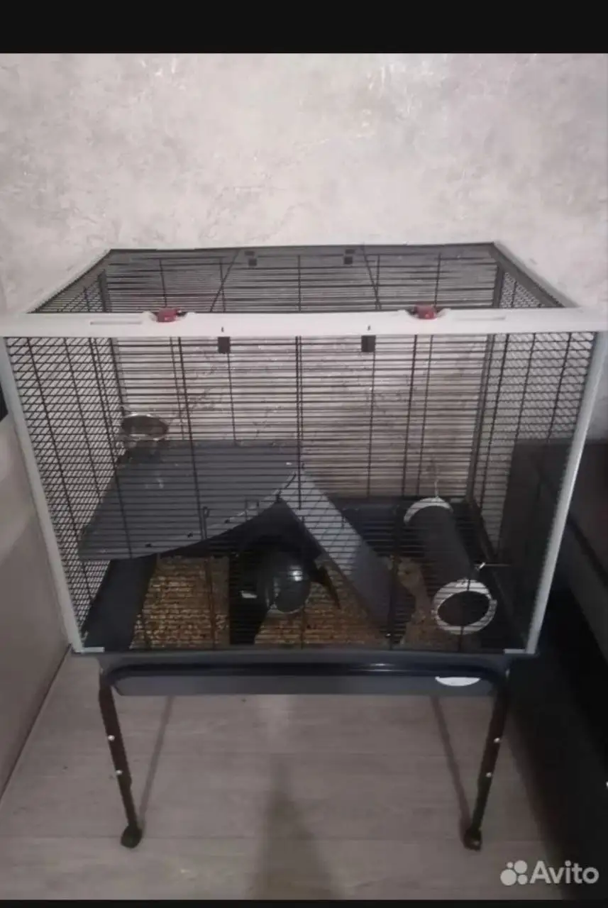 Большая клетка для крыс или хорьков с гнездом для попугаев - Аксессуары для животных (Животные) в Братск