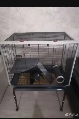 Большая клетка для крыс или хорьков с гнездом для попугаев - Аксессуары для животных в Братск