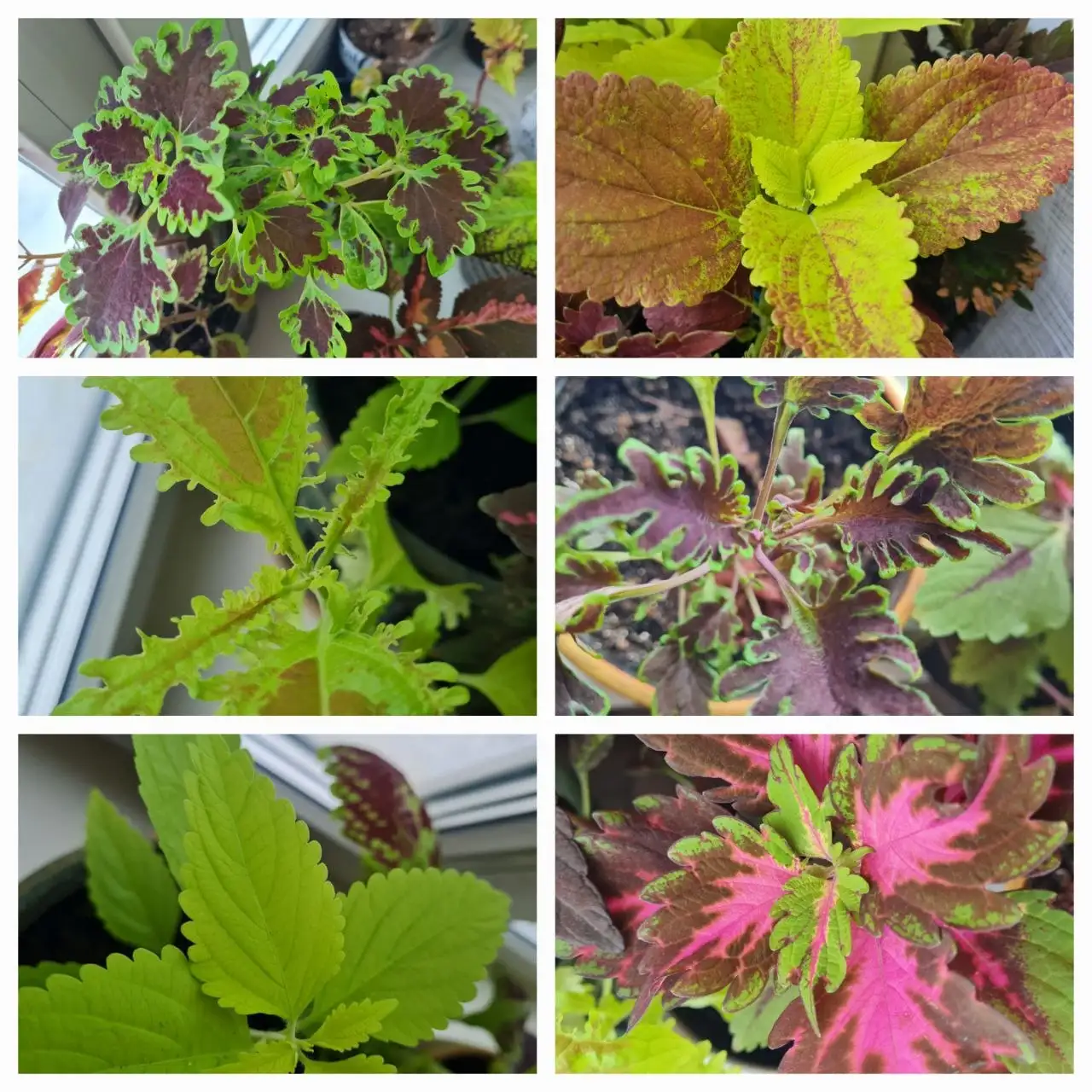 Срезы в Братске - Барахолка в Братск