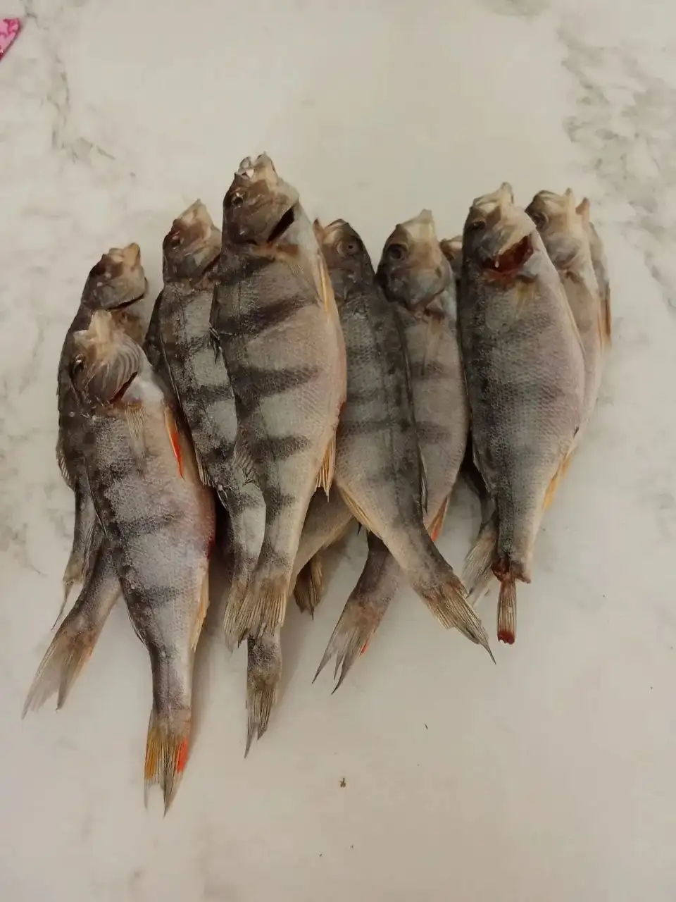 Продам вяленого окуня - Продукты питания (Барахолка) в Братск