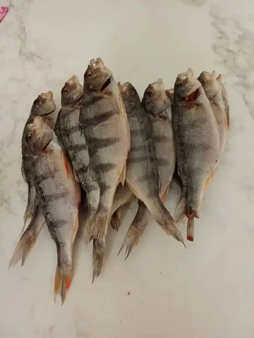 Продам вяленого окуня - Игрушки в Братск