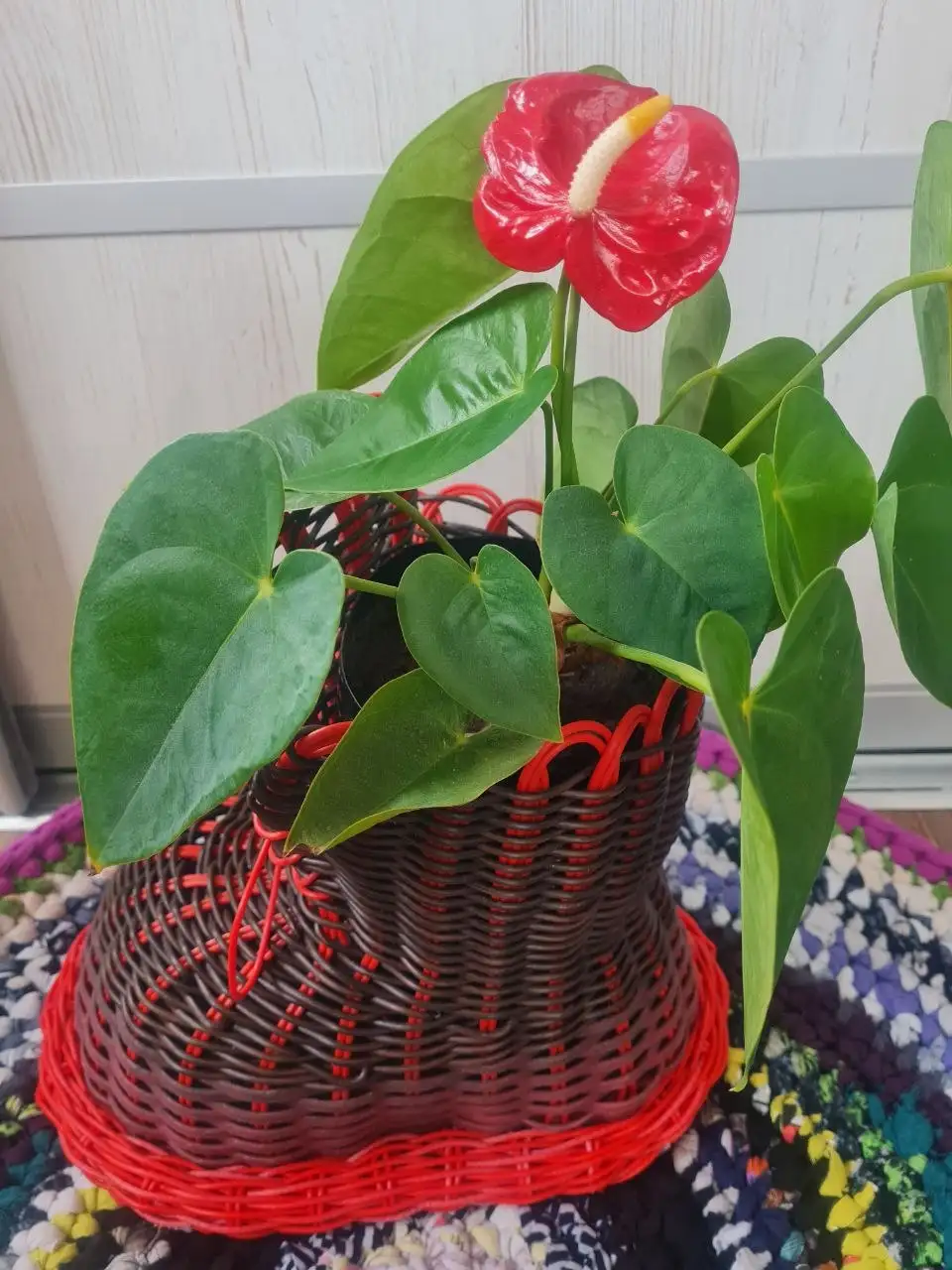 Продам в центре Братска - Барахолка в Братск