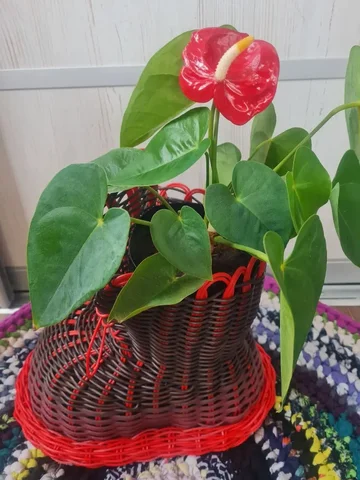 Продам в центре Братска - Металлические конструкции в Братск