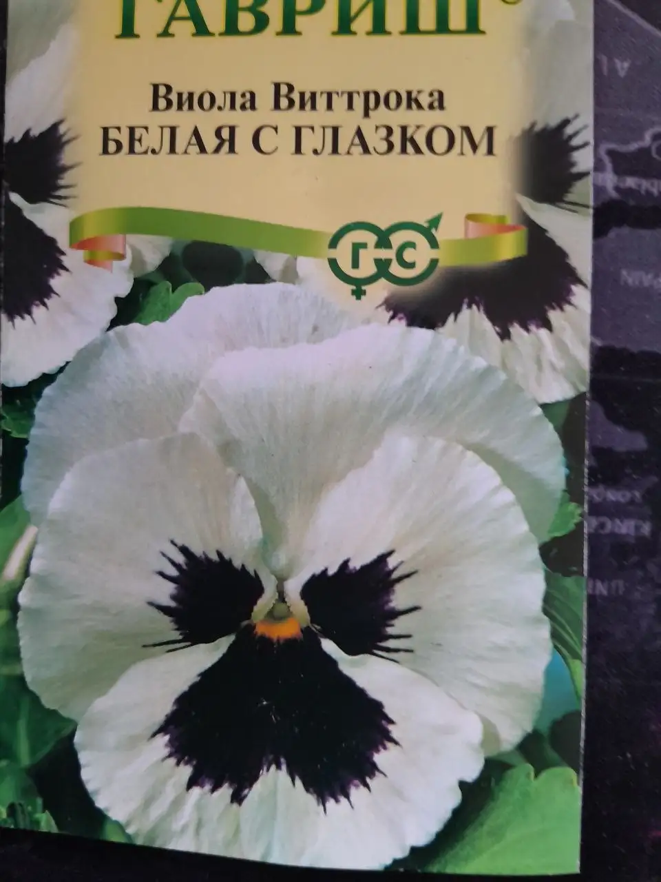 Продажа рассады цветов - Растения в Братск