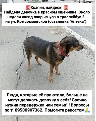 Замена замков - частное объявление в Братска
