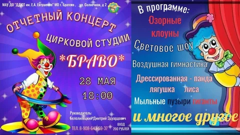 Билеты на концерт и цирковое путешествие - Игры, приставки и программы в Братск