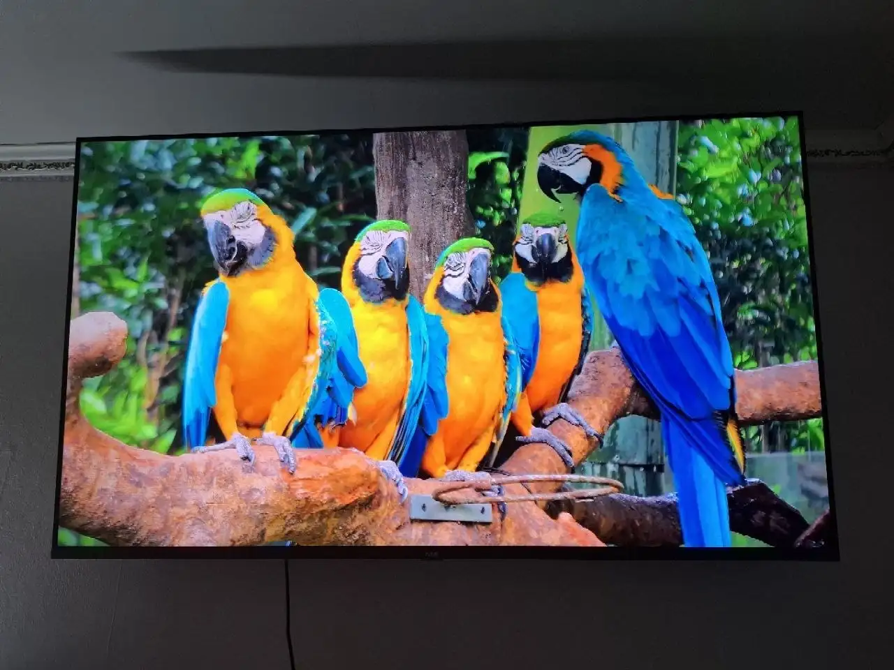 Продается телевизор ARTEL TV A55LU8500 - Телевизоры (Электроника) в Братск