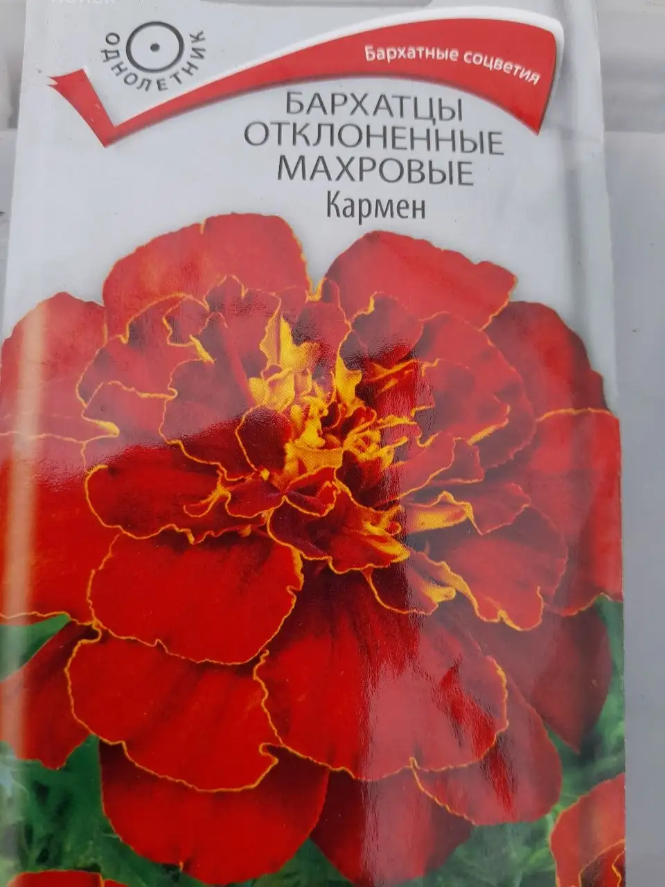 Продам рассаду летних цветов - Садоводство (Хобби и отдых) в Братск