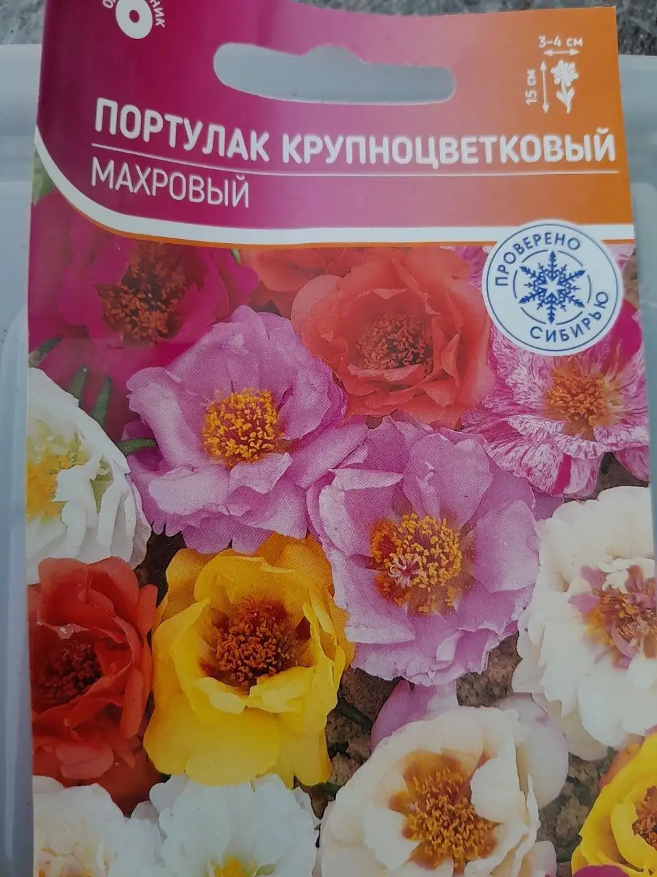 Продам рассаду летних цветов - Садоводство (Хобби и отдых) в Братск