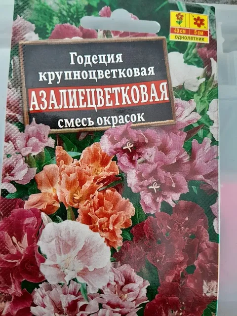 Продажа рассады цветов - Металлоискатели в Братск