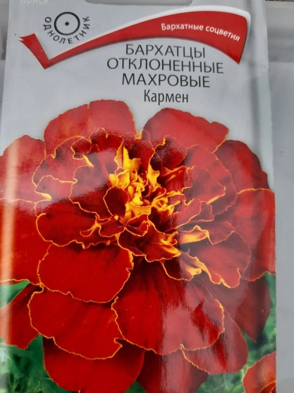 Продажа рассады цветов - Растения (Хобби и отдых) в Братск