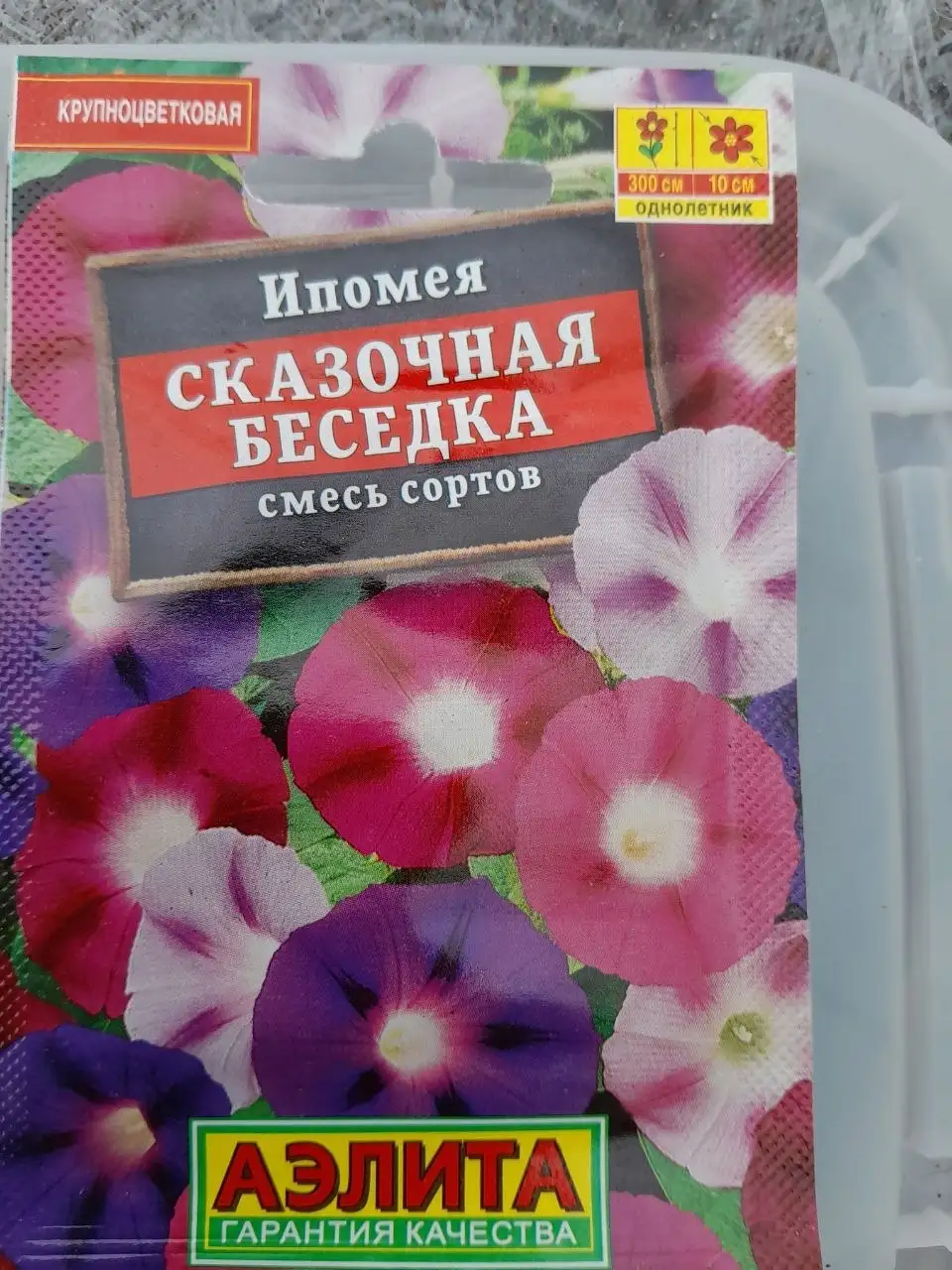 Продажа рассады цветов - Растения (Хобби и отдых) в Братск