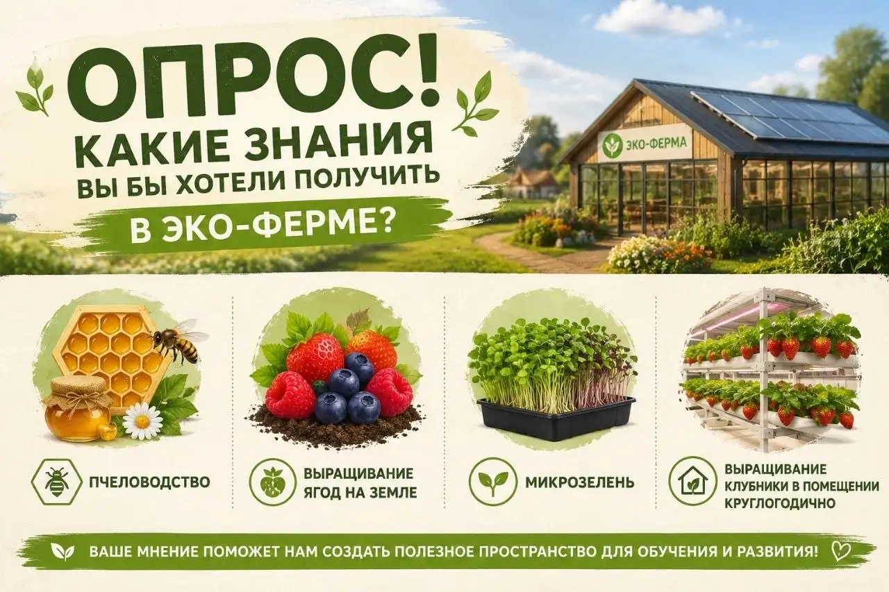 Эко-ферма со знаком плюс - Образование (Услуги) в Братск