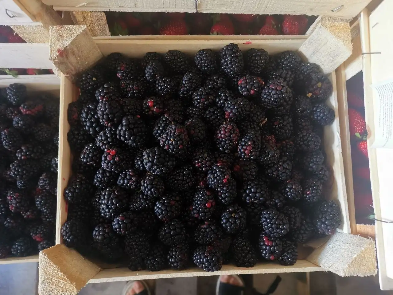 Свежий привоз ягоды из Киргизии в Братске - Ягоды (Продукты питания) в Братск