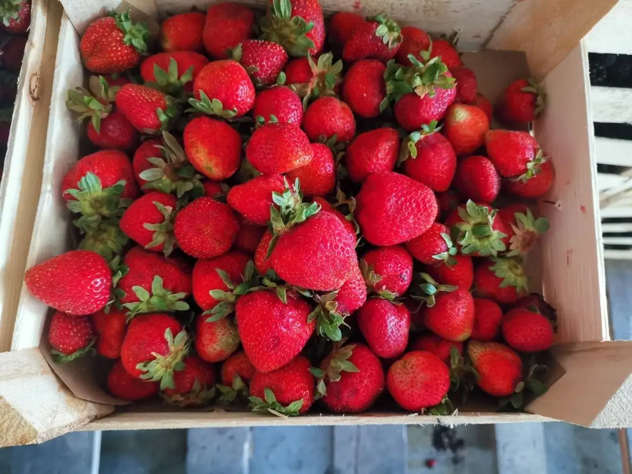 Привоз свежих ягод из Киргизии в Братске - Ягоды (Продукты) в Братск