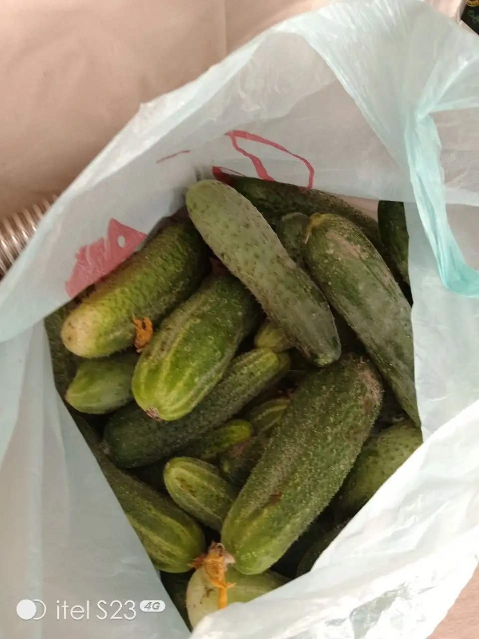Продам свежие огурцы - Барахолка в Братск