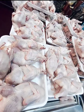 Продажа свежих перепелов в Нижневартовске - частное объявление в Нижневартовск