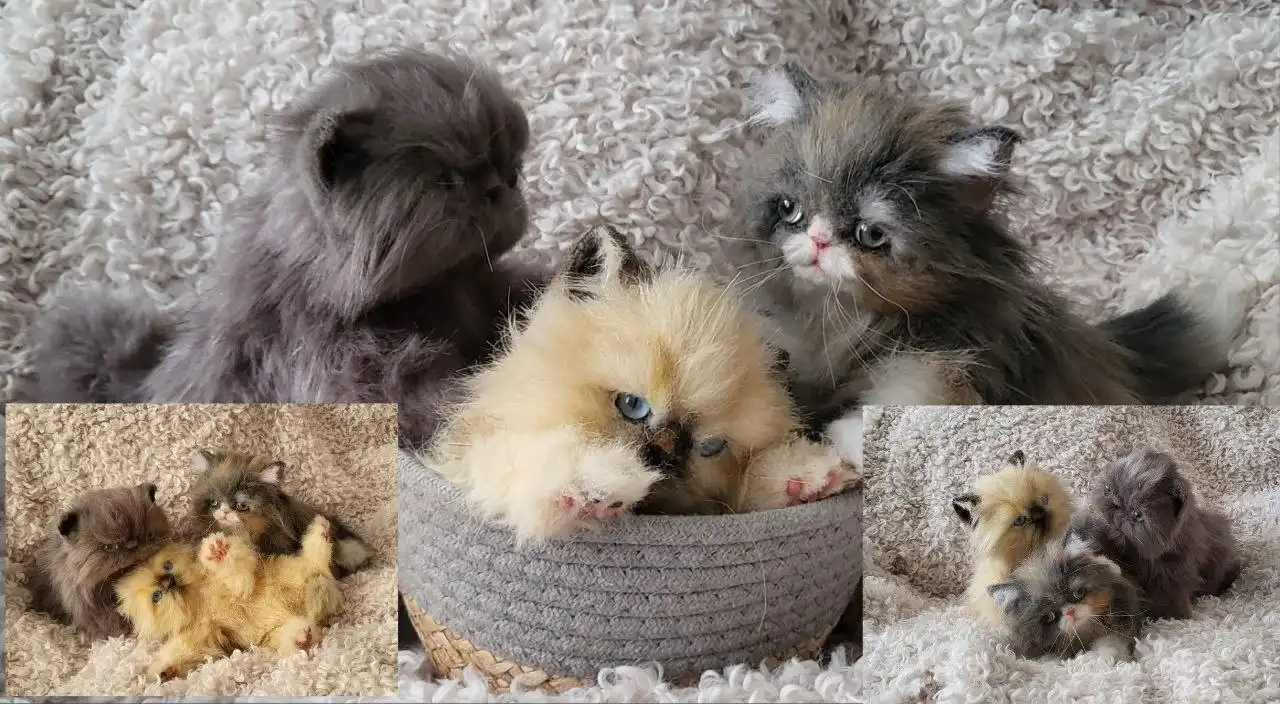 Котята из искусственного меха ручной работы - Рукоделие (Хобби и отдых) в Энгельс