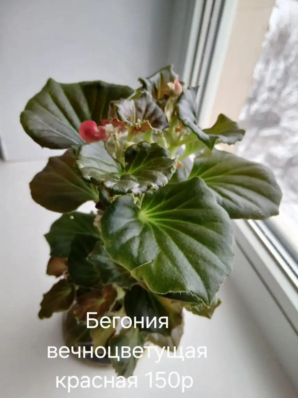 Объявление в районе Имидж города Энгельс - Барахолка в Энгельс