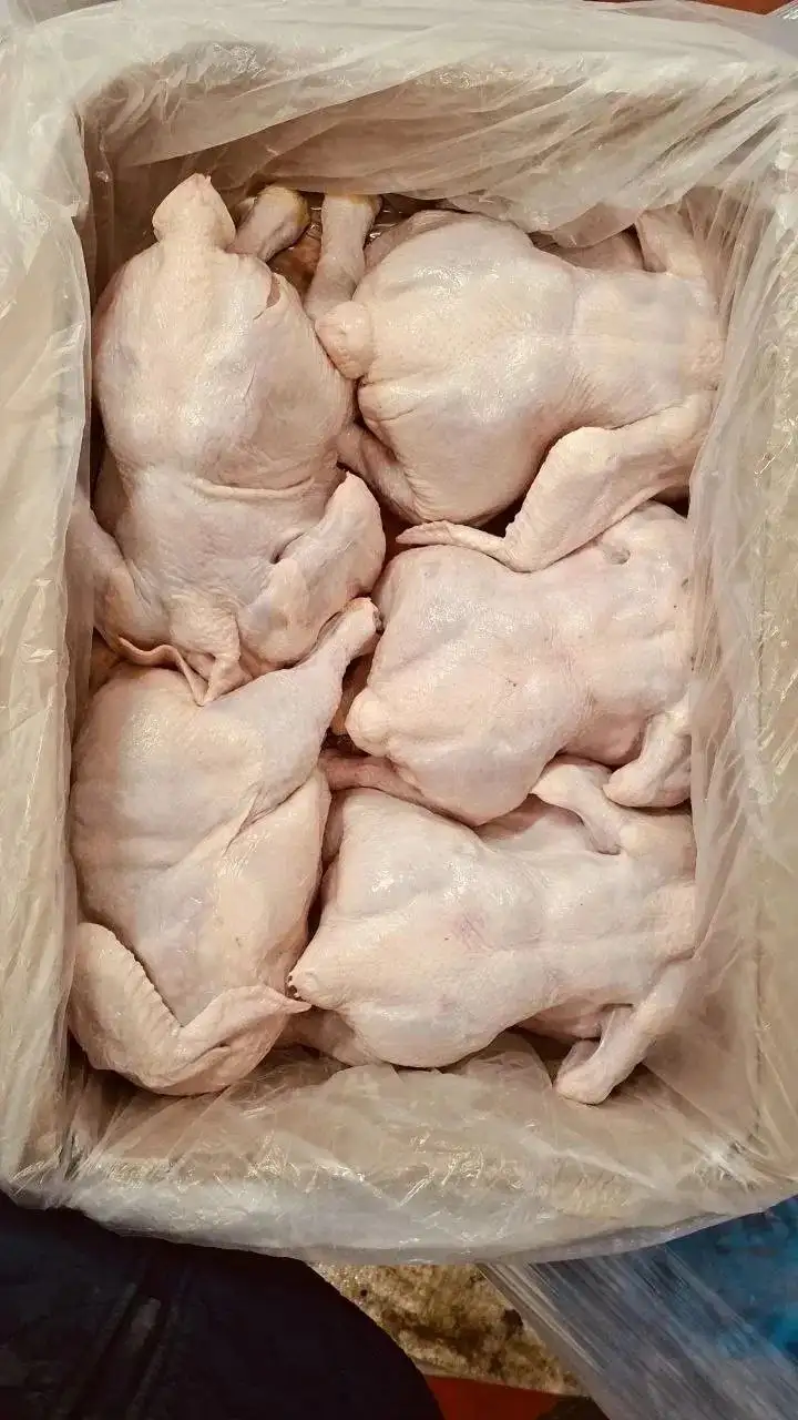 Бройлер 2 сорт Черкизово - Птица (Животные) в Энгельс