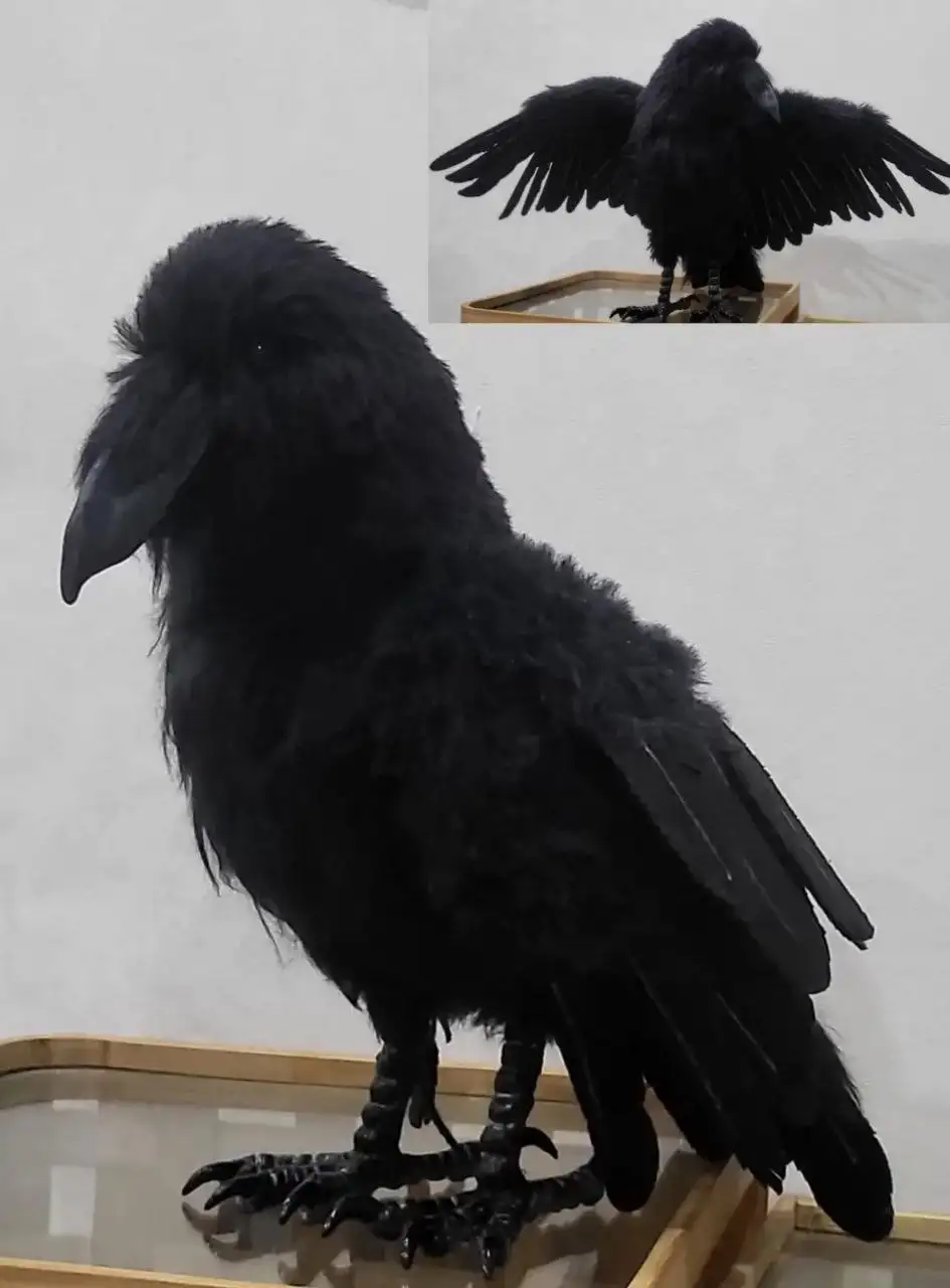 Искусственный ворон в натуральную величину на подвижном каркасе - Коллекционирование (Хобби и отдых) в Энгельс