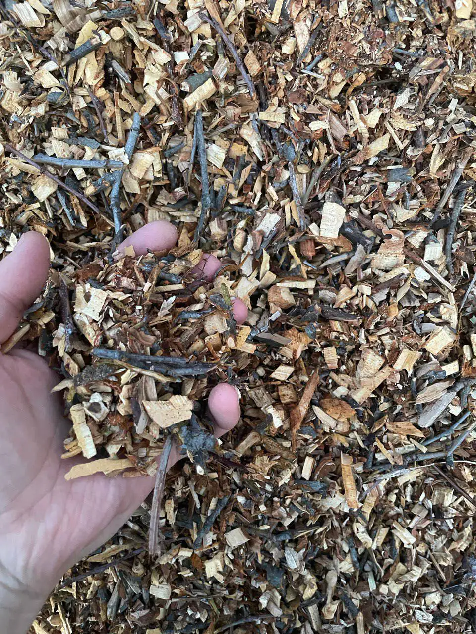 Переработка спиленных веток в мульчу на участке - Садовые услуги (Услуги) в Саратов