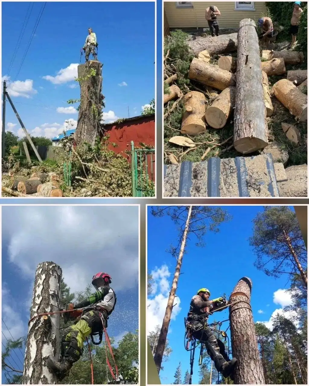 Спил деревьев и расчистка участка - Благоустройство участков (Услуги) в Энгельс
