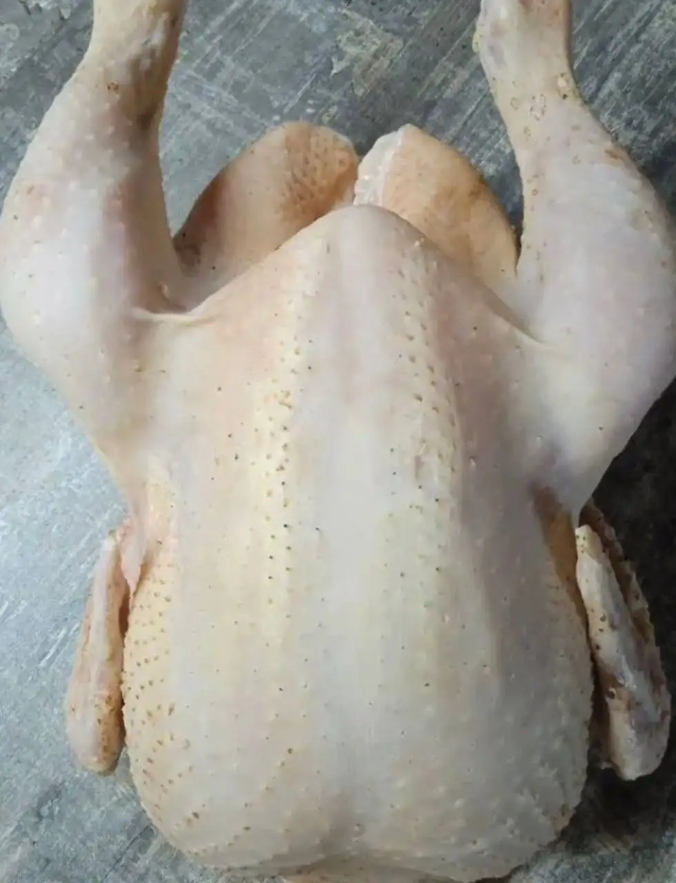 Продажа бройлерных цыплят - Птица (Животные) в Энгельс