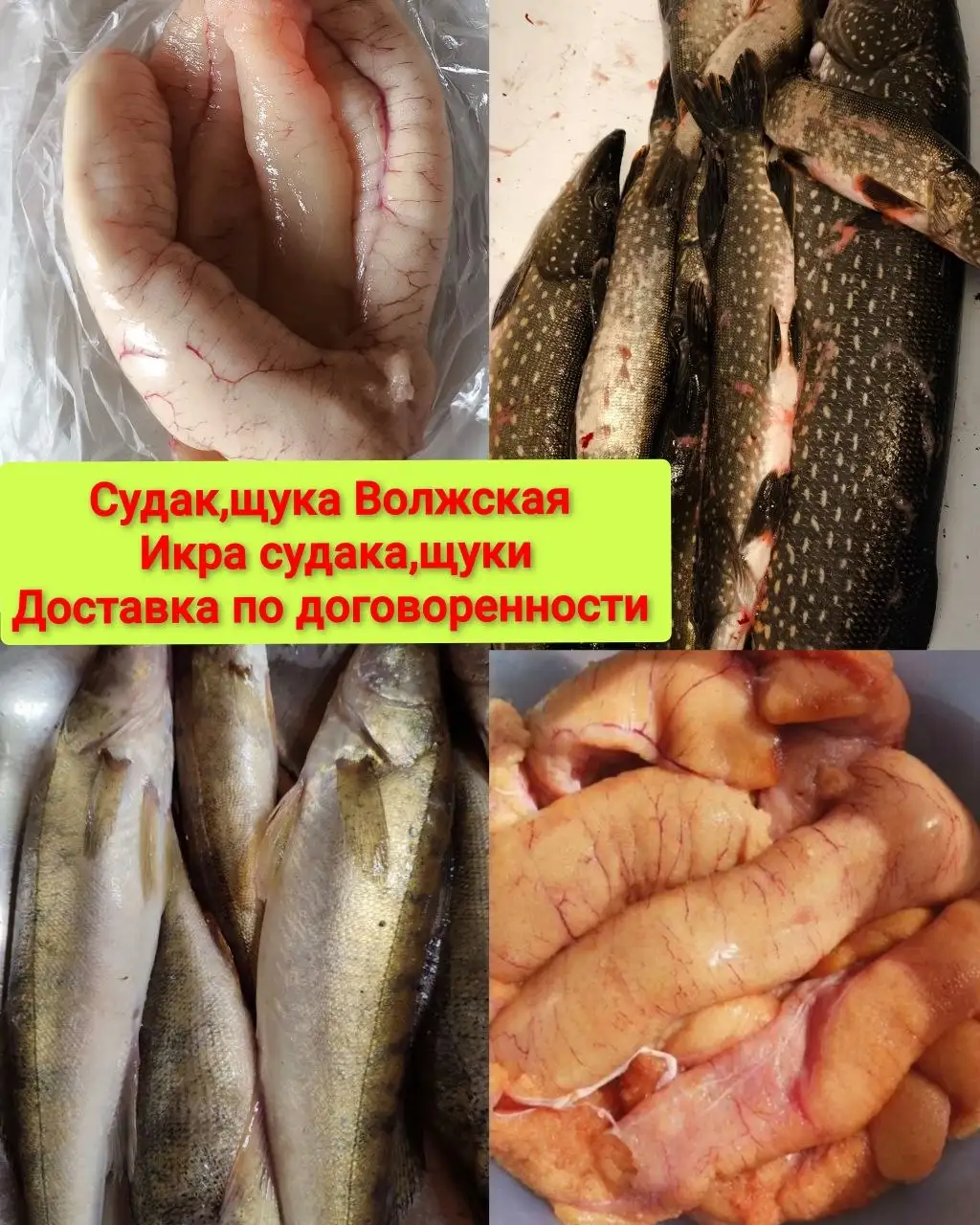 Фарш из судака свежий - Еда в Энгельс