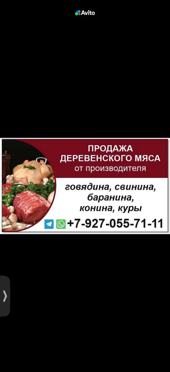 Продажа домашней говядины - Продукты питания (Для дома и дачи) в Энгельс