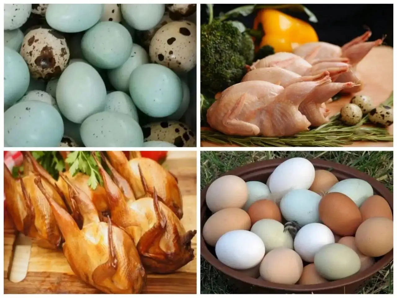 Перепела и яйца от хозяйства - Продукты (Хобби и отдых) в Энгельс