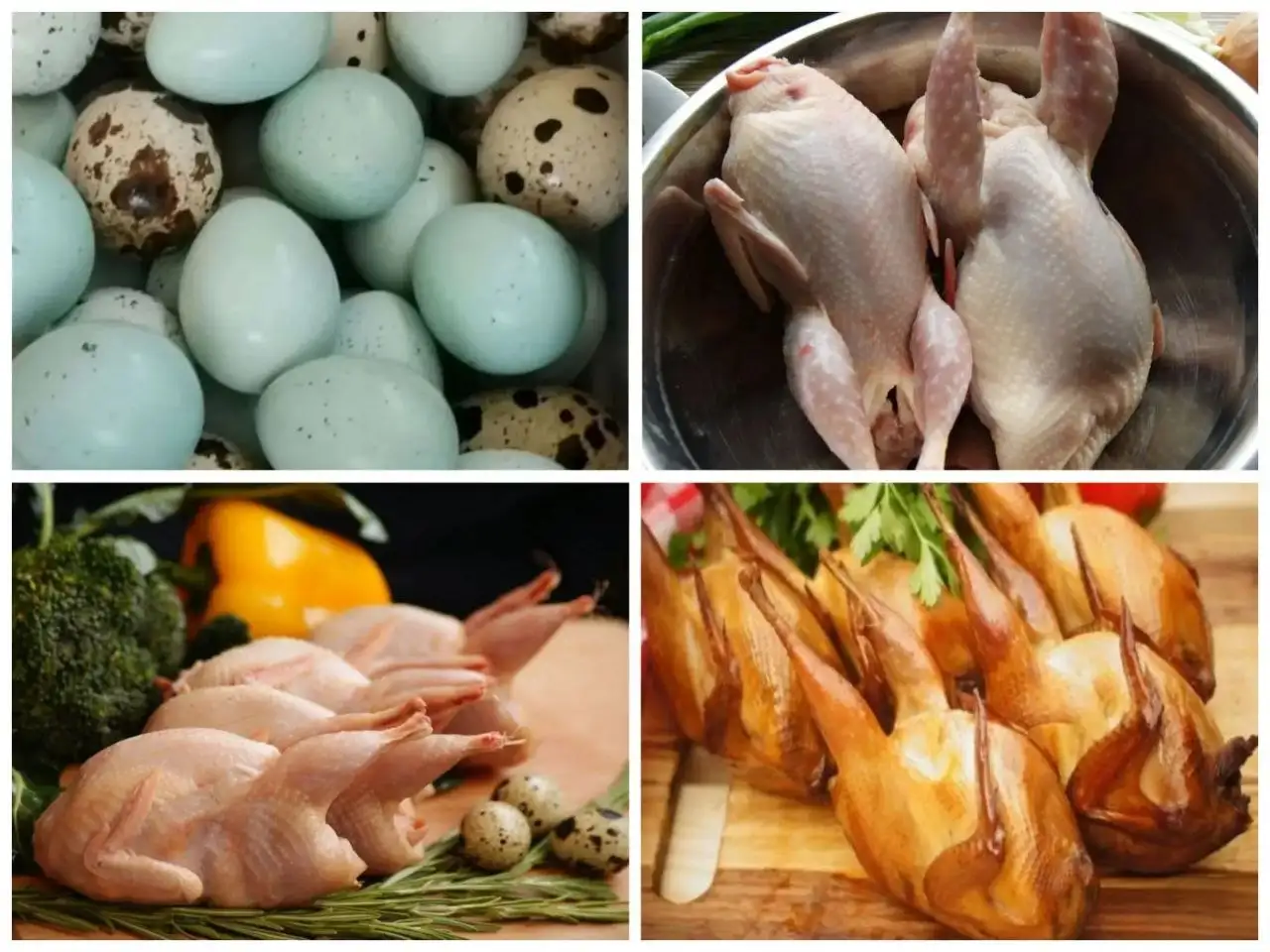Продажа мяса перепелов и яиц - Продукты питания (Хобби и отдых) в Саратов
